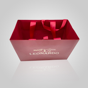 Ribbon Handle Gift Bag