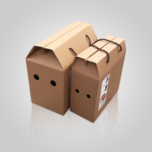 Shopping Box With Handle